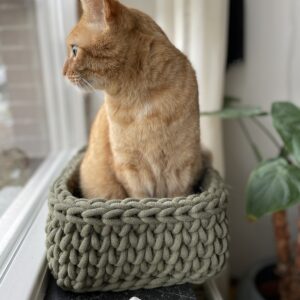 IMG_4569 IMG_4569